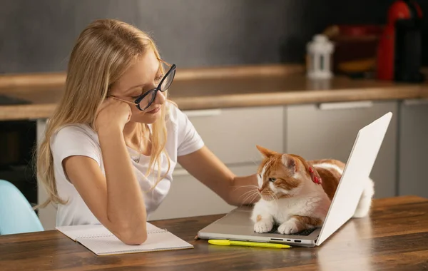 stock image Young woman using laptop and cute cat sitting on the keyboard. Casual girl working on a laptop with her pet while sitting in a homely cozy office.