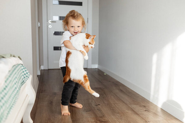 A little boy hugs his furry pet. Happy laughing child taking care of his domestic cat, feeding and playing with it