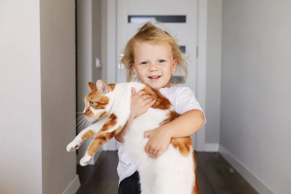 Băiețel Își Îmbrățișează Animalul Companie Blană Copil Fericit Râzând Având Fotografie de stoc