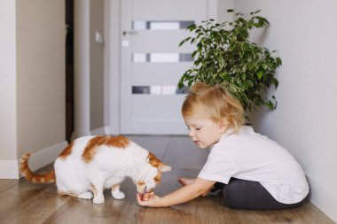 Küçük bir çocuk tüylü hayvanına sarılıyor. Mutlu gülen çocuk evcil kedisine bakıyor, onunla besleniyor ve oynuyor.