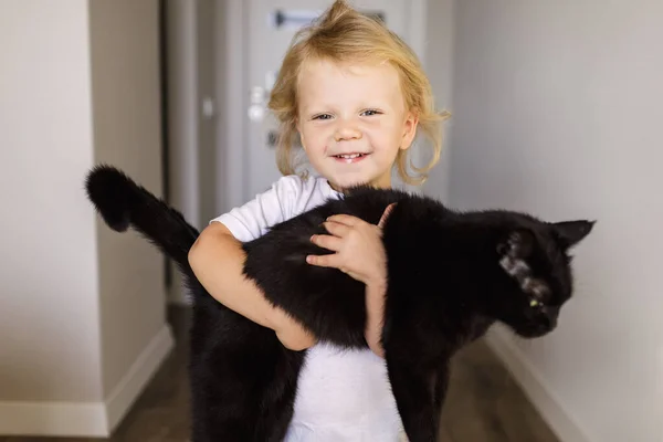 Niño Pequeño Abraza Peluda Mascota Feliz Niño Riendo Cuidando Gato Fotos De Stock Sin Royalties Gratis