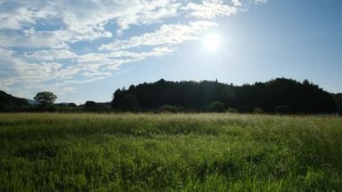 Alacakaranlıkta çiftçi köyü, batan güneşte parlayan gümüş çimen tarlası.