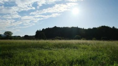 Alacakaranlıkta çiftçi köyü, batan güneşte parlayan gümüş çimen tarlası.