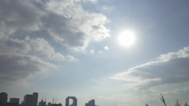 Osaka Umeda City, beautiful scenery of silver grass field on the Yodo River