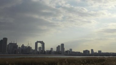 Osaka Umeda City, beautiful scenery of silver grass field on the Yodo River