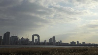 Osaka Umeda City, beautiful scenery of silver grass field on the Yodo River