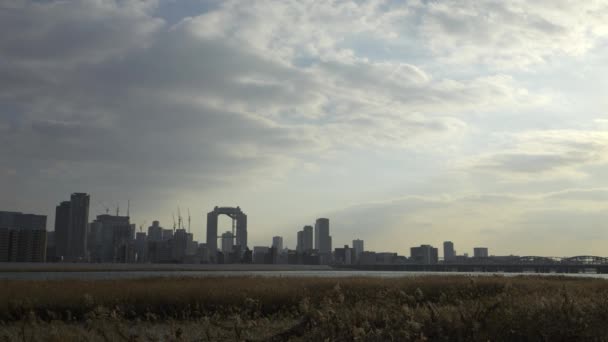 Город Осака Умеда Красивый Пейзаж Серебряного Травяного Поля Реке Йодо — стоковое видео