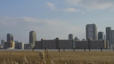 Osaka Umeda City, beautiful scenery of silver grass field on the Yodo River