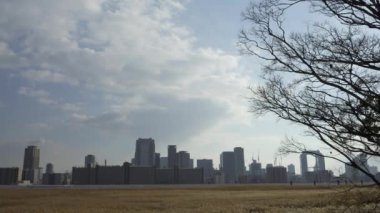 Osaka Umeda City, beautiful scenery of silver grass field on the Yodo River