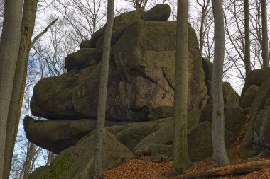 Çek Cumhuriyeti 'ndeki Jizera Dağları' nda goril kafası şeklinde bir kaya.