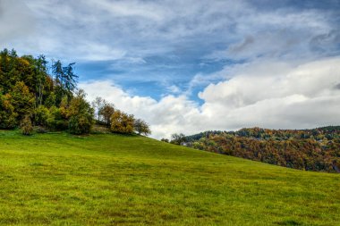 Renkli sonbahar manzarası, bulutlu gökyüzü, tel örgüler ve kırsal yol