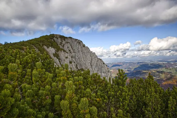 Mavi gökyüzü ve renkli sonbahar ormanı ve Apls dağları