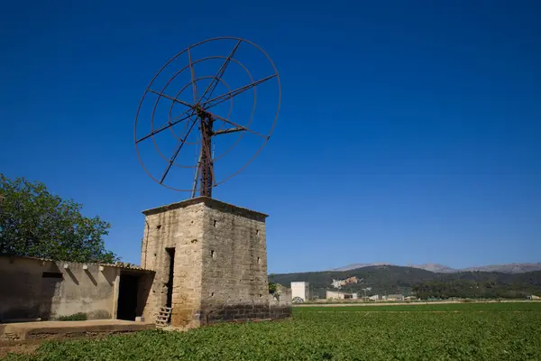 Arka planda mavi gökyüzü ve tepe ile yeşil çayır üzerinde antik yel değirmeni, Mallorca. Mallorca 'nın ünlü turistik yerleri. Adanın her yerinde 5000' den fazla yel değirmeni var.