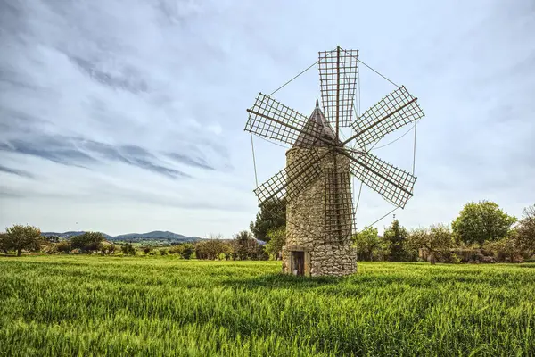 Arka planda mavi gökyüzü ve tepe ile yeşil çayır üzerinde antik yel değirmeni, Mallorca. Mallorca 'nın ünlü turistik yerleri. Adanın her yerinde 5000' den fazla yel değirmeni var.