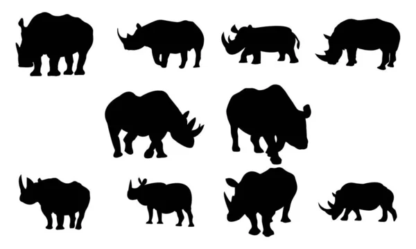 Rhinoceros Vector Silhouette Collection — Stock Vector