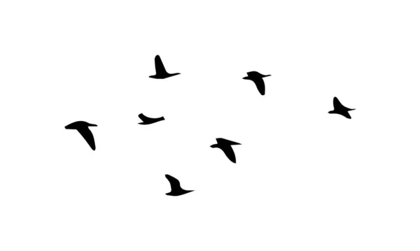 Fliegende Vögel Vektor Und Silhouette — Stockvektor
