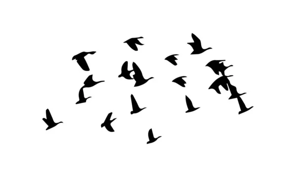 Літаючі Птахи Вектор Силует — стоковий вектор