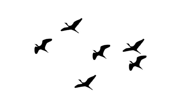 Літаючі Птахи Вектор Силует — стоковий вектор