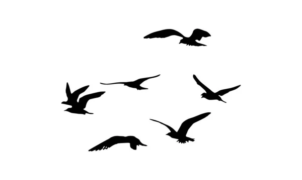 Burung Terbang Vektor Dan Siluet - Stok Vektor