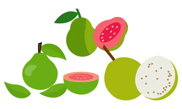 Guava Vektör Tasarımı ve İllüstrasyon Paketi.