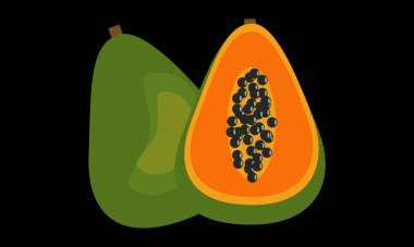 Papaya Vektör Tasarımı ve İllüstrasyonu.