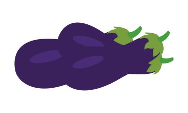 Brinjal Vektör Tasarımı ve İllüstrasyonu.