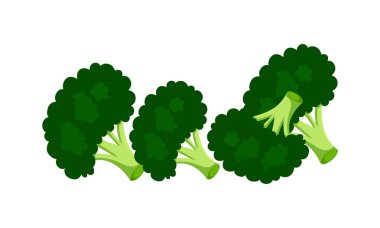 Brokoli Vektör Tasarımı ve İllüstrasyonu. 