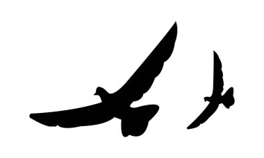 Flying Birds Vector And Illustration. 