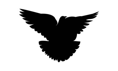 Flying Birds Vector And Illustration. 