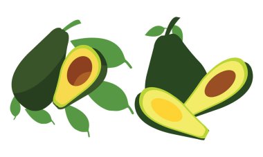 Avokado Vektörü ve Çizim Koleksiyonu. 