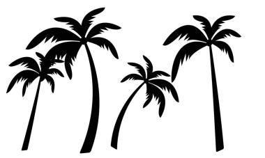 Palmiye Ağacı Vektörü ve Siluet Koleksiyonu. 