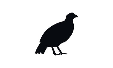 Siyah Sülün Silüeti ve Vektör İllüzyonu. 