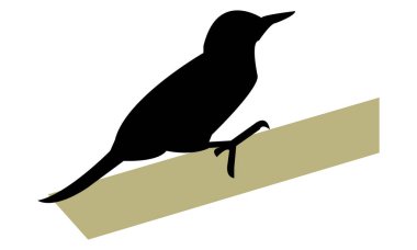 Ağaçkakan Silueti ve Vektör İllüstrasyonu. 