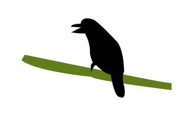 Vasantabauri Silueti ve Vektör İllüstrasyonu. 