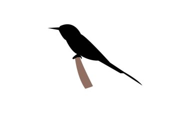 Yeşil Arı Yiyen Siluet Tasarımı ve Vektör İllüstrasyonu. 