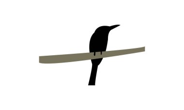 Yeşil Arı Yiyen Siluet Tasarımı ve Vektör İllüstrasyonu. 