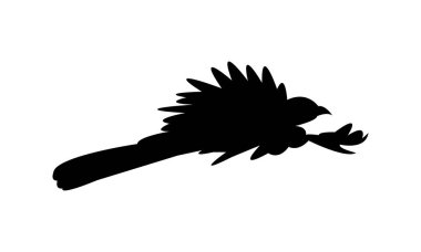 Crow Sülün Silüet Tasarımı ve Vektör Resimleri. 