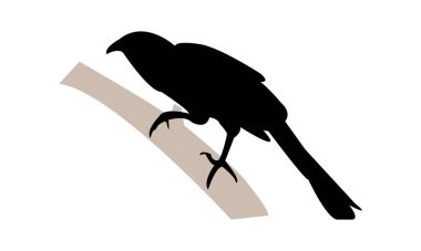 Crow Sülün Silüet Tasarımı ve Vektör Resimleri. 