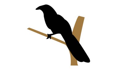 Crow Sülün Silüet Tasarımı ve Vektör Resimleri. 