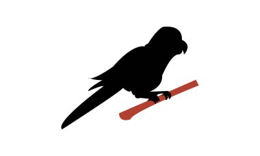 Papağan Silueti Tasarım ve Vektör İllüstrasyonu. 