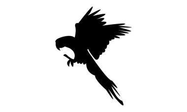 Papağan Silueti Tasarım ve Vektör İllüstrasyonu. 