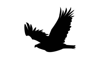 Flying Eagle Silhouette Design  And Vector Illustration.  clipart