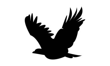 Flying Eagle Silhouette Design  And Vector Illustration.  clipart