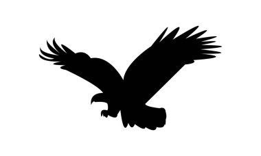 Flying Eagle Silhouette Design  And Vector Illustration.  clipart