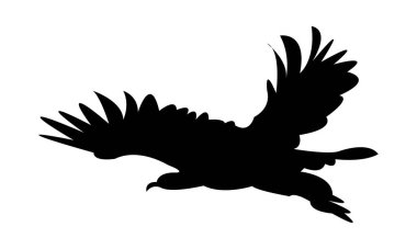 Uçan Kartal Silüeti Tasarım ve Vektör İllüstrasyonu. 