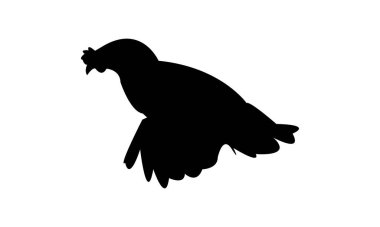 Flying Hen Silhouette Design  And Vector Illustration.  clipart