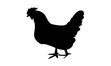 Hen Siluet Tasarımı ve Vektör İllüstrasyonu. 