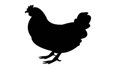 Hen Siluet Tasarımı ve Vektör İllüstrasyonu. 