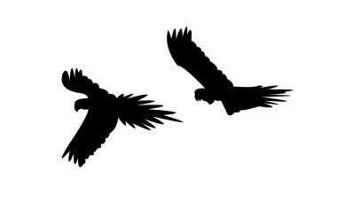 Uçan Papağan Silüeti Tasarımı ve Vektör İllüzyonu. 