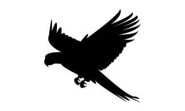 Uçan Papağan Silüeti Tasarımı ve Vektör İllüzyonu. 